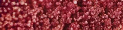 rot